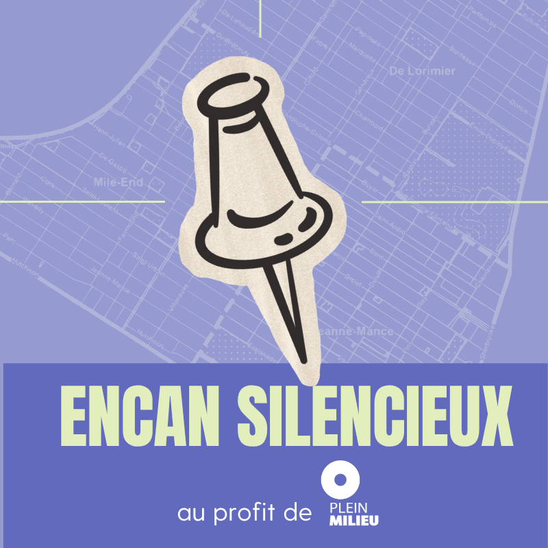 vignette_encan_pm2 vignette_encan_pm2